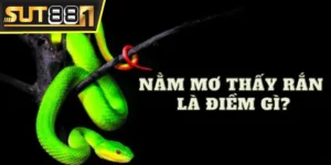 Meta: Mơ thấy rắn đánh con gì, số nào để trúng lớn khi chơi xổ số? Hãy cùng chuyên gia SUT88 tìm lời giải đáp sau đây để nắm được bộ số hên đánh đề hiệu quả.